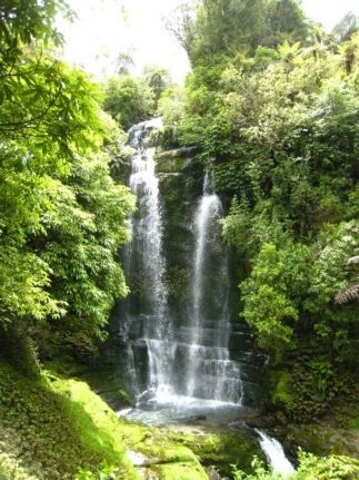 Waitanguru Falls Walk