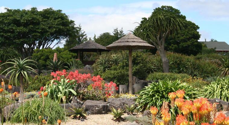 Auckland Botanical Gardens