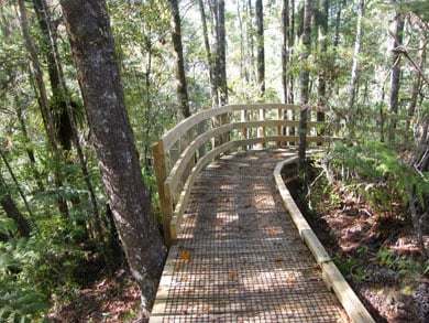 Opua Forest Lookout Track