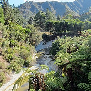 Waitahinga Trails