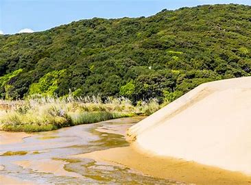 Te Paki Stream Giant Sand Dunes