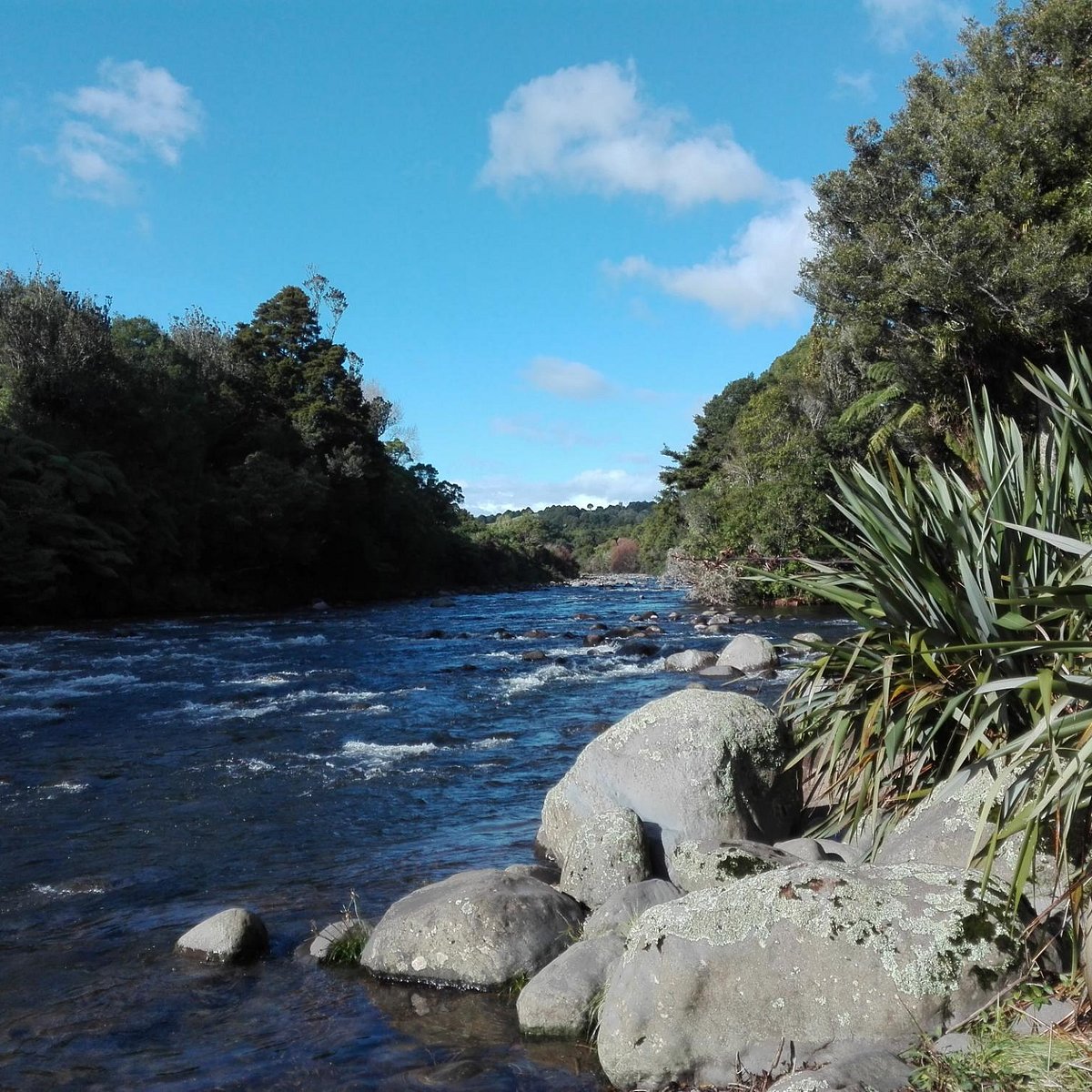 Meeting of the Waters Scenic Reserve walks