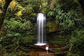 Koropuku Falls